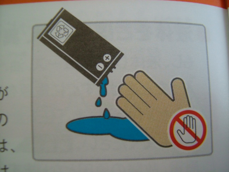 Illustration for article titled Hey Dummy, Don't Microwave The DSi (And Other Nintendo Tips)